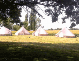 Des tentes installées dans un pré